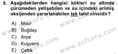 Tarla Bitkileri 1 Dersi 2017 - 2018 Yılı 3 Ders Sınav Soruları 5. Soru