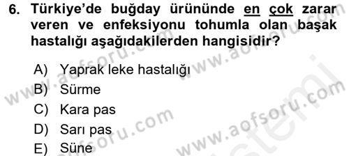 Tarla Bitkileri 1 Dersi 2017 - 2018 Yılı 3 Ders Sınav Soruları 6. Soru