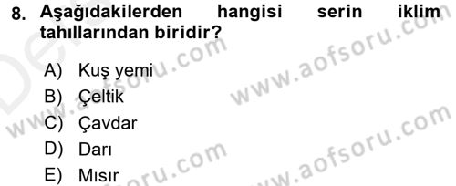 Tarla Bitkileri 1 Dersi 2017 - 2018 Yılı 3 Ders Sınav Soruları 8. Soru