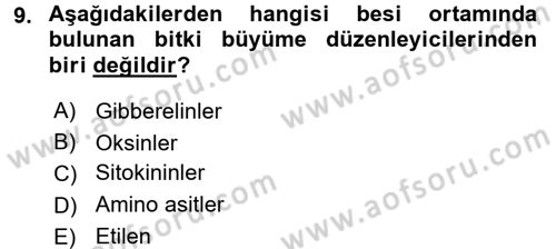 Tarla Bitkileri 1 Dersi 2017 - 2018 Yılı 3 Ders Sınav Soruları 9. Soru