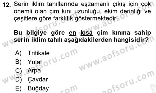 Tarla Bitkileri 1 Dersi 2017 - 2018 Yılı (Vize) Ara Sınav Soruları 12. Soru