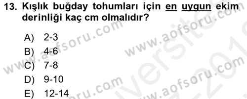 Tarla Bitkileri 1 Dersi 2017 - 2018 Yılı (Vize) Ara Sınav Soruları 13. Soru