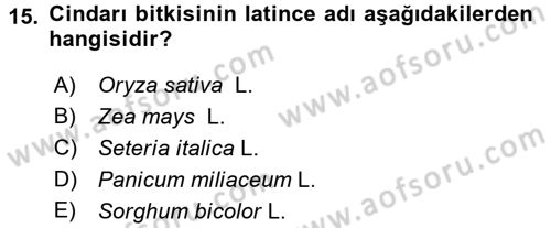 Tarla Bitkileri 1 Dersi 2017 - 2018 Yılı (Vize) Ara Sınav Soruları 15. Soru
