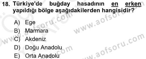 Tarla Bitkileri 1 Dersi 2017 - 2018 Yılı (Vize) Ara Sınav Soruları 18. Soru