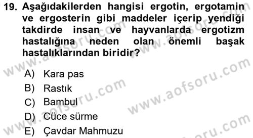 Tarla Bitkileri 1 Dersi 2017 - 2018 Yılı (Vize) Ara Sınav Soruları 19. Soru