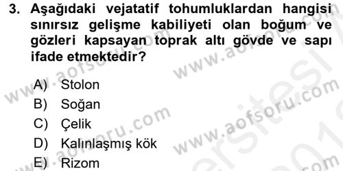 Tarla Bitkileri 1 Dersi 2017 - 2018 Yılı (Vize) Ara Sınav Soruları 3. Soru