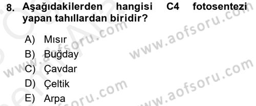 Tarla Bitkileri 1 Dersi 2017 - 2018 Yılı (Vize) Ara Sınav Soruları 8. Soru