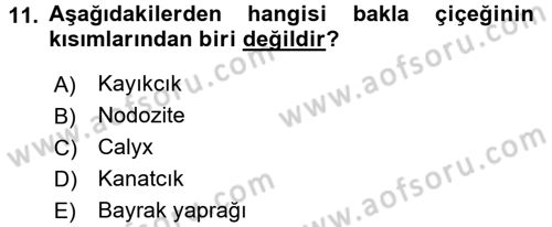 Tarla Bitkileri 1 Dersi 2017 - 2018 Yılı (Final) Dönem Sonu Sınav Soruları 11. Soru