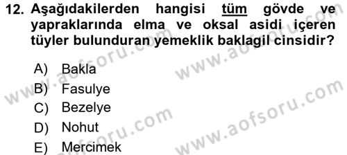 Tarla Bitkileri 1 Dersi 2017 - 2018 Yılı (Final) Dönem Sonu Sınav Soruları 12. Soru