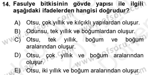 Tarla Bitkileri 1 Dersi 2017 - 2018 Yılı (Final) Dönem Sonu Sınav Soruları 14. Soru