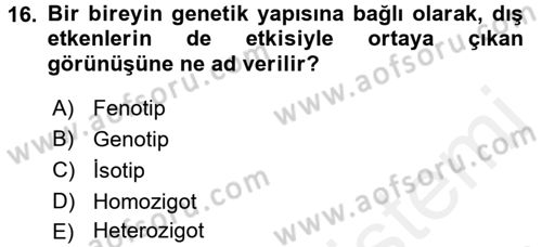 Tarla Bitkileri 1 Dersi 2017 - 2018 Yılı (Final) Dönem Sonu Sınav Soruları 16. Soru