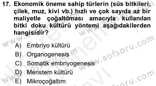 Tarla Bitkileri 1 Dersi 2017 - 2018 Yılı (Final) Dönem Sonu Sınav Soruları 17. Soru