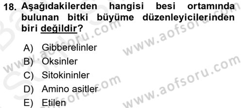 Tarla Bitkileri 1 Dersi 2017 - 2018 Yılı (Final) Dönem Sonu Sınav Soruları 18. Soru