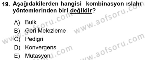 Tarla Bitkileri 1 Dersi 2017 - 2018 Yılı (Final) Dönem Sonu Sınav Soruları 19. Soru