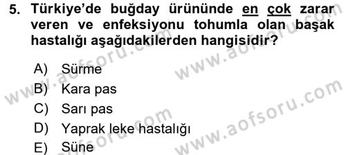 Tarla Bitkileri 1 Dersi 2017 - 2018 Yılı (Final) Dönem Sonu Sınav Soruları 5. Soru