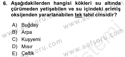 Tarla Bitkileri 1 Dersi 2017 - 2018 Yılı (Final) Dönem Sonu Sınav Soruları 6. Soru