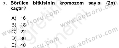 Tarla Bitkileri 1 Dersi 2017 - 2018 Yılı (Final) Dönem Sonu Sınav Soruları 7. Soru