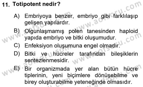 Tarla Bitkileri 1 Dersi 2018 - 2019 Yılı 3 Ders Sınav Soruları 11. Soru