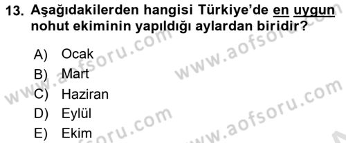 Tarla Bitkileri 1 Dersi 2018 - 2019 Yılı 3 Ders Sınav Soruları 13. Soru