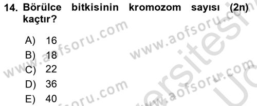 Tarla Bitkileri 1 Dersi 2018 - 2019 Yılı 3 Ders Sınav Soruları 14. Soru