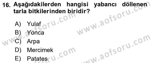Tarla Bitkileri 1 Dersi 2018 - 2019 Yılı 3 Ders Sınav Soruları 16. Soru