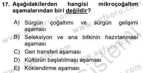 Tarla Bitkileri 1 Dersi 2018 - 2019 Yılı 3 Ders Sınav Soruları 17. Soru
