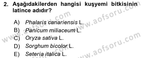 Tarla Bitkileri 1 Dersi 2018 - 2019 Yılı 3 Ders Sınav Soruları 2. Soru