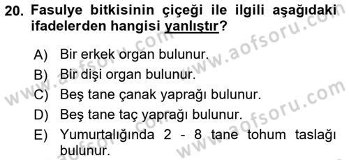 Tarla Bitkileri 1 Dersi 2018 - 2019 Yılı 3 Ders Sınav Soruları 20. Soru
