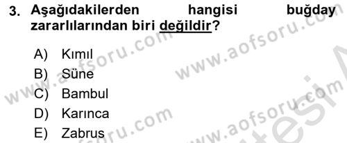 Tarla Bitkileri 1 Dersi 2018 - 2019 Yılı 3 Ders Sınav Soruları 3. Soru