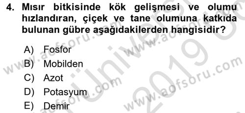 Tarla Bitkileri 1 Dersi 2018 - 2019 Yılı 3 Ders Sınavı 4. Soru