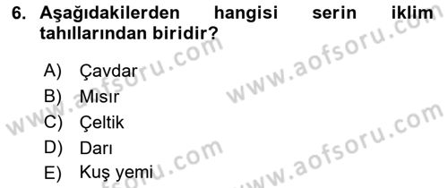 Tarla Bitkileri 1 Dersi 2018 - 2019 Yılı 3 Ders Sınav Soruları 6. Soru
