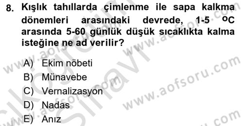 Tarla Bitkileri 1 Dersi 2018 - 2019 Yılı 3 Ders Sınav Soruları 8. Soru
