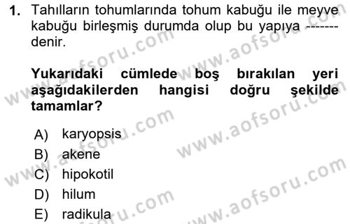 Tarla Bitkileri 1 Dersi 2018 - 2019 Yılı (Vize) Ara Sınav Soruları 1. Soru