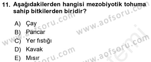 Tarla Bitkileri 1 Dersi 2018 - 2019 Yılı (Vize) Ara Sınav Soruları 11. Soru