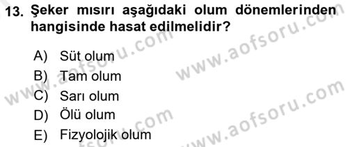 Tarla Bitkileri 1 Dersi 2018 - 2019 Yılı (Vize) Ara Sınav Soruları 13. Soru
