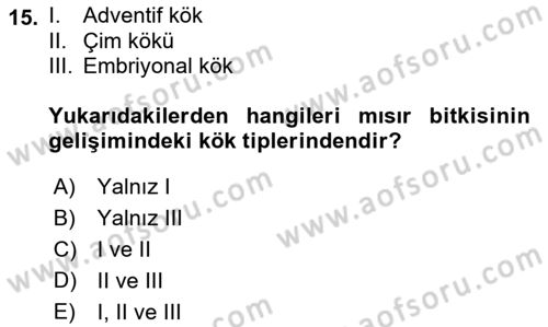 Tarla Bitkileri 1 Dersi 2018 - 2019 Yılı (Vize) Ara Sınav Soruları 15. Soru