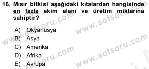 Tarla Bitkileri 1 Dersi 2018 - 2019 Yılı (Vize) Ara Sınav Soruları 16. Soru