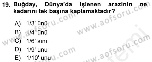Tarla Bitkileri 1 Dersi 2018 - 2019 Yılı (Vize) Ara Sınav Soruları 19. Soru