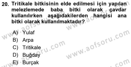 Tarla Bitkileri 1 Dersi 2018 - 2019 Yılı (Vize) Ara Sınav Soruları 20. Soru