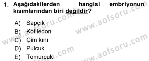 Tarla Bitkileri 1 Dersi 2018 - 2019 Yılı (Final) Dönem Sonu Sınav Soruları 1. Soru