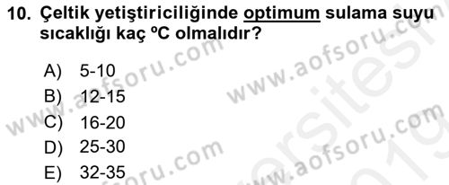 Tarla Bitkileri 1 Dersi 2018 - 2019 Yılı (Final) Dönem Sonu Sınav Soruları 10. Soru