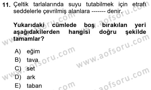 Tarla Bitkileri 1 Dersi 2018 - 2019 Yılı (Final) Dönem Sonu Sınav Soruları 11. Soru