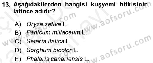 Tarla Bitkileri 1 Dersi 2018 - 2019 Yılı (Final) Dönem Sonu Sınav Soruları 13. Soru