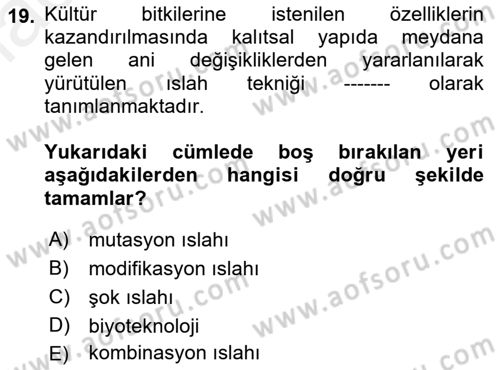 Tarla Bitkileri 1 Dersi 2018 - 2019 Yılı (Final) Dönem Sonu Sınav Soruları 19. Soru