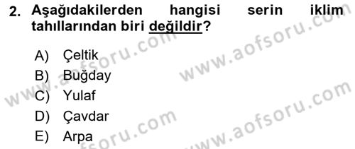 Tarla Bitkileri 1 Dersi 2018 - 2019 Yılı (Final) Dönem Sonu Sınav Soruları 2. Soru