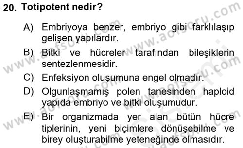 Tarla Bitkileri 1 Dersi 2018 - 2019 Yılı (Final) Dönem Sonu Sınav Soruları 20. Soru