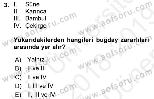 Tarla Bitkileri 1 Dersi 2018 - 2019 Yılı (Final) Dönem Sonu Sınav Soruları 3. Soru