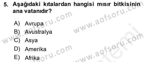 Tarla Bitkileri 1 Dersi 2018 - 2019 Yılı (Final) Dönem Sonu Sınav Soruları 5. Soru