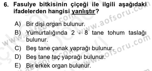 Tarla Bitkileri 1 Dersi 2018 - 2019 Yılı (Final) Dönem Sonu Sınav Soruları 6. Soru