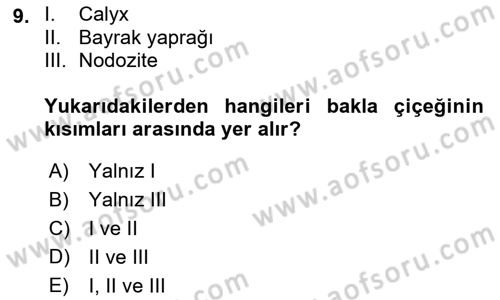 Tarla Bitkileri 1 Dersi 2018 - 2019 Yılı (Final) Dönem Sonu Sınav Soruları 9. Soru